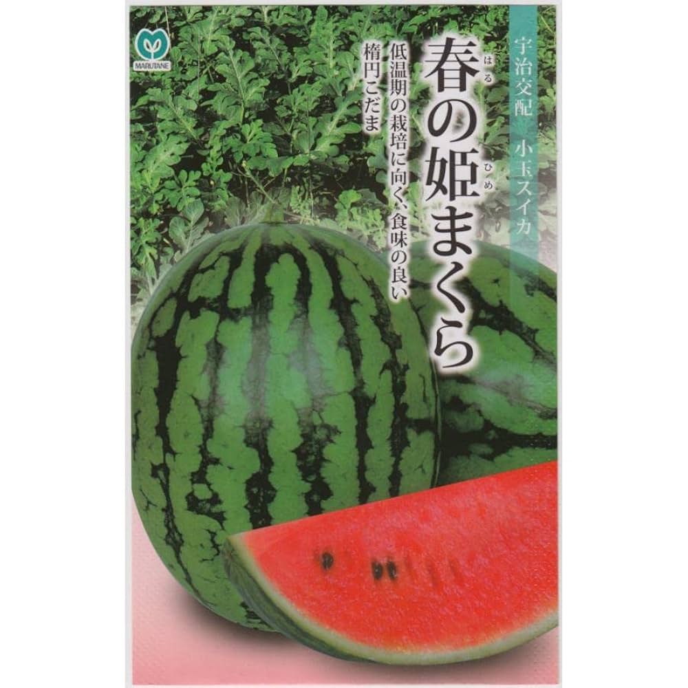 Amazon.co.jp: 丸種 スイカ 春の姫まくらのタネ : DIY・工具